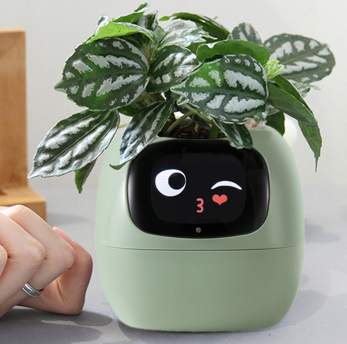 Interaktywna Doniczka - SmartPot™ - zielona
