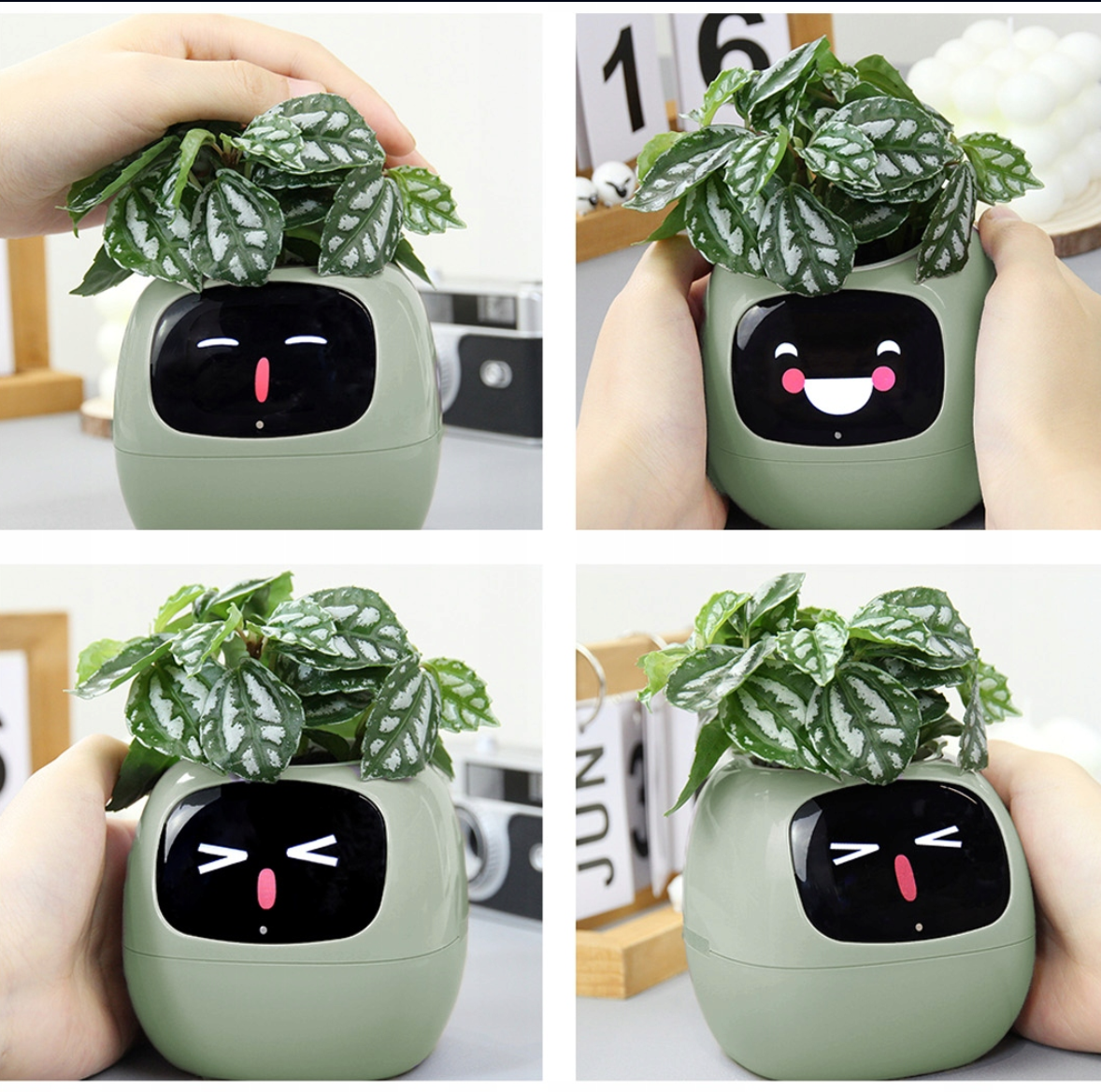 Interaktywna Doniczka - SmartPot™ - zielona